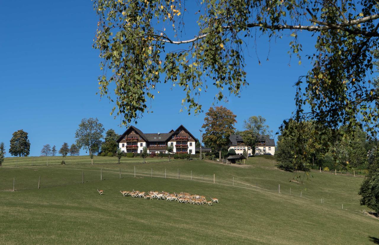 Ferienappartements Rausch Presseck Eksteriør billede